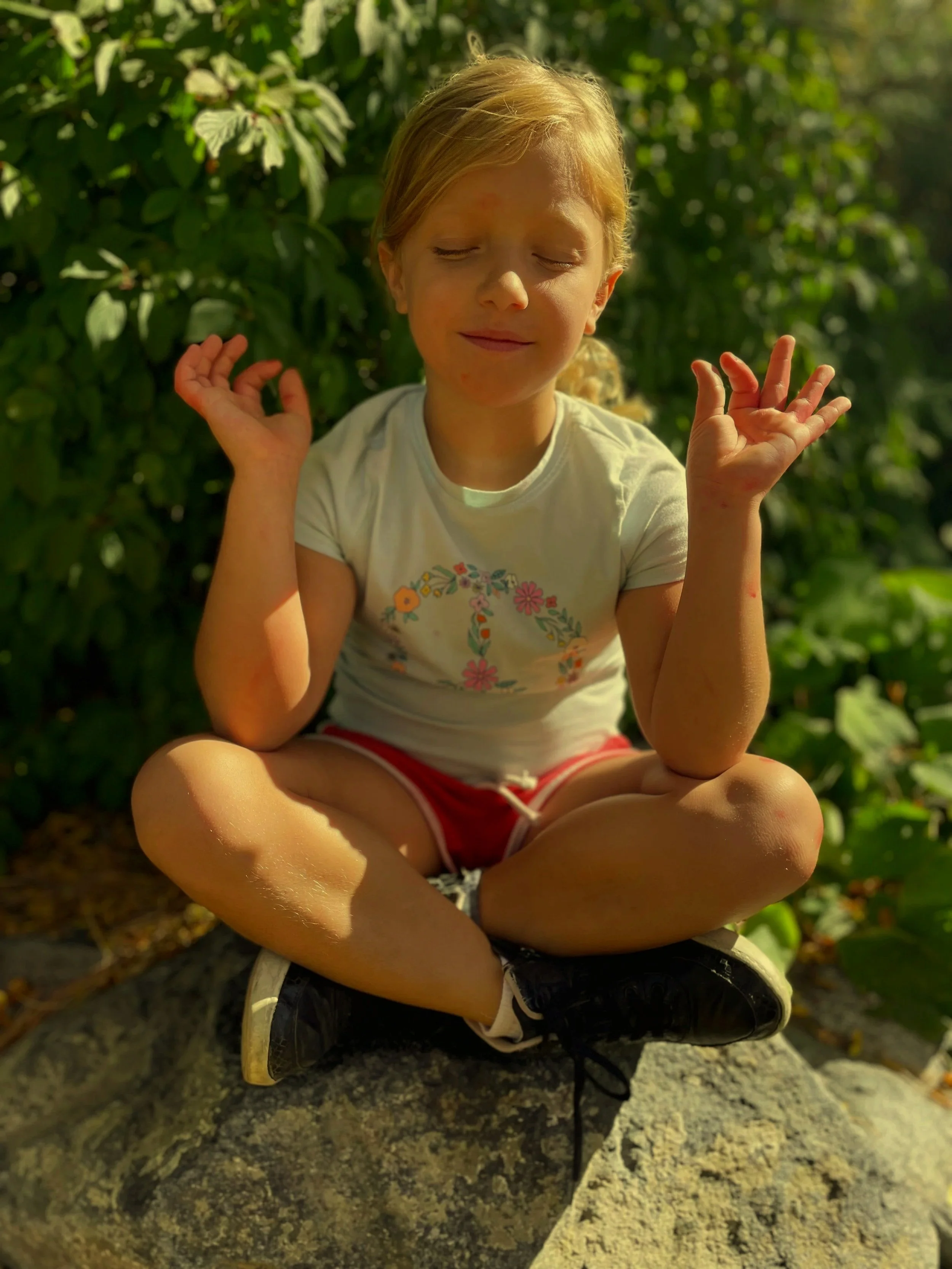 Meditative State of Mind