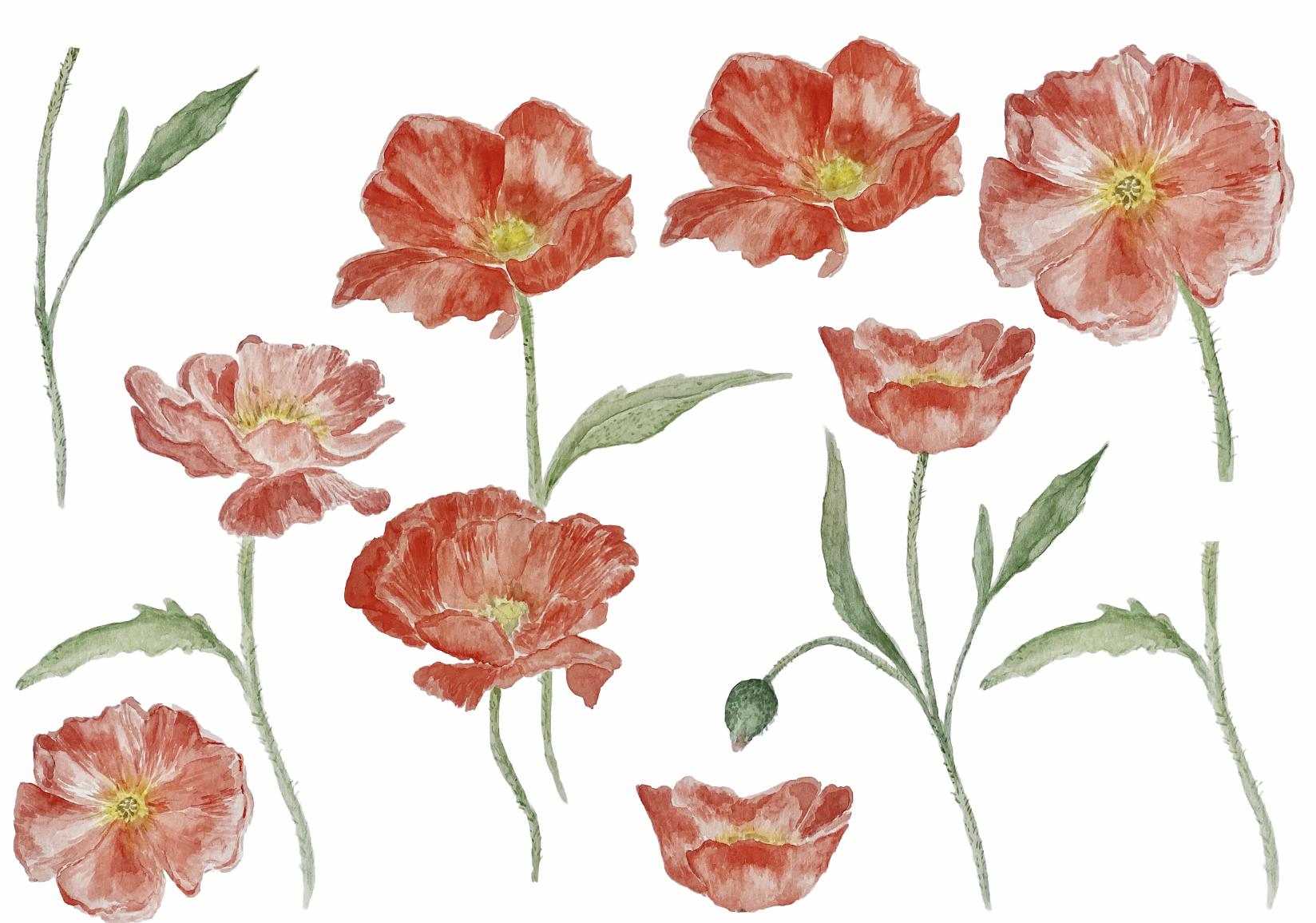 Image 19-05-2026 at 15.19.png