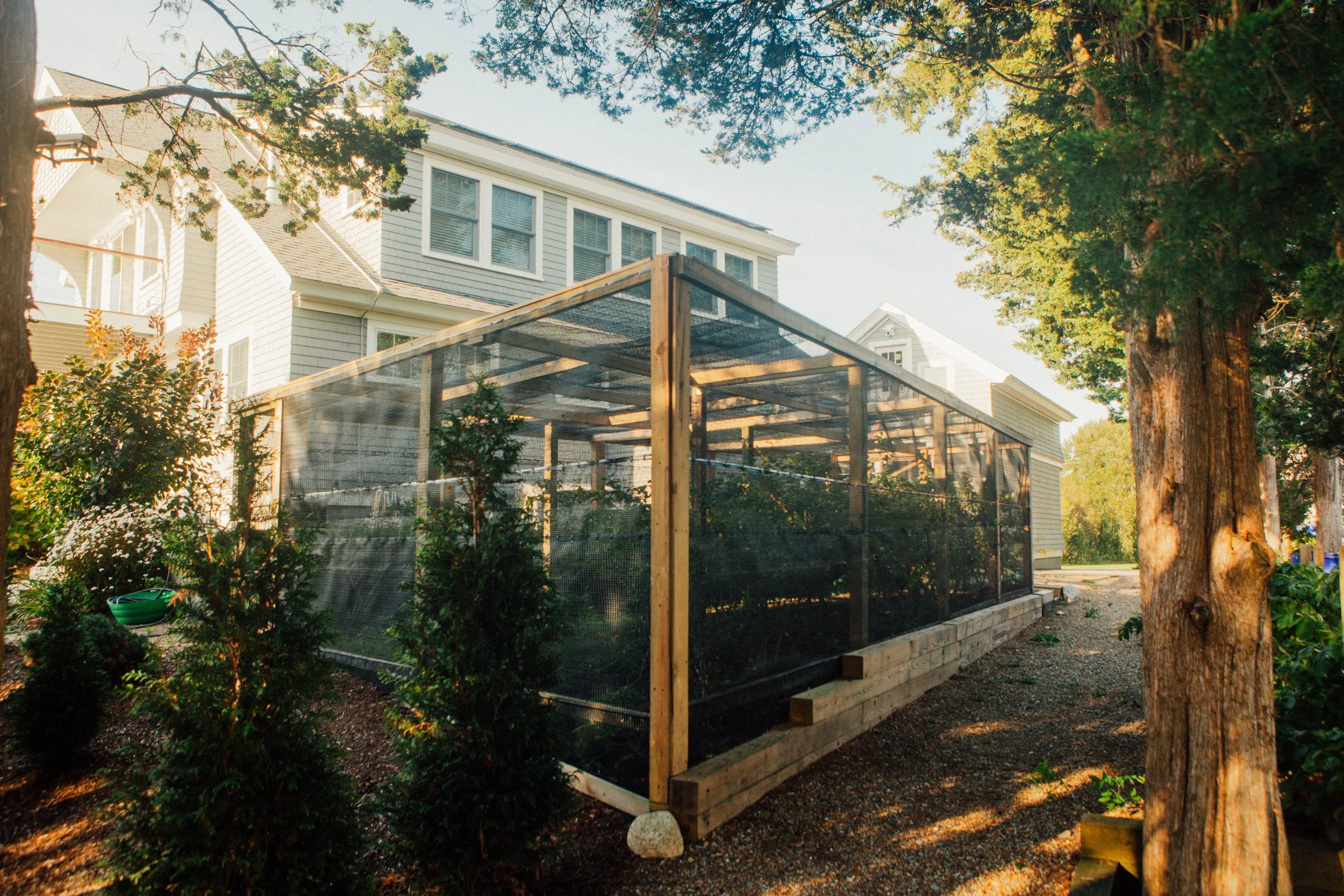 A residential backyard with trees, a white house with multiple windows, and a wooden and wire mesh enclosure, possibly for a garden or pet area.