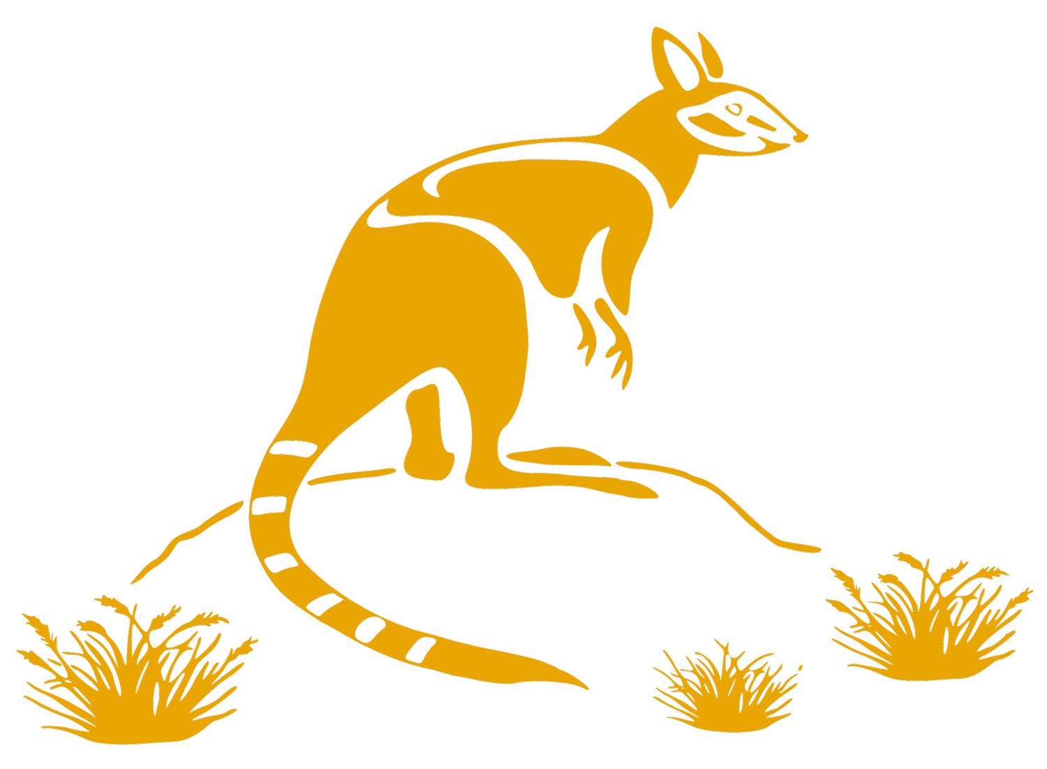  Rock Wallaby Landscaping