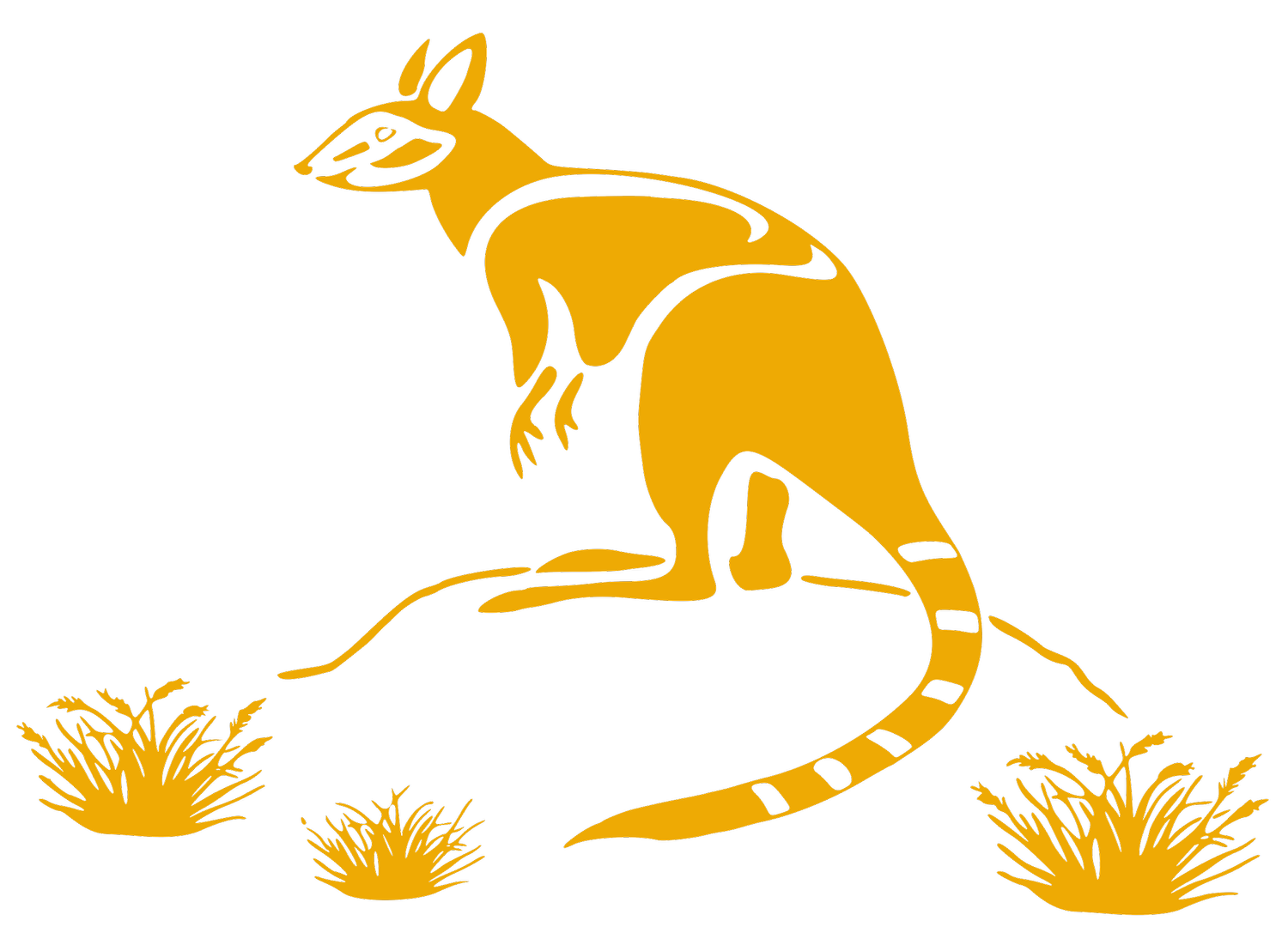  Rock Wallaby Landscaping
