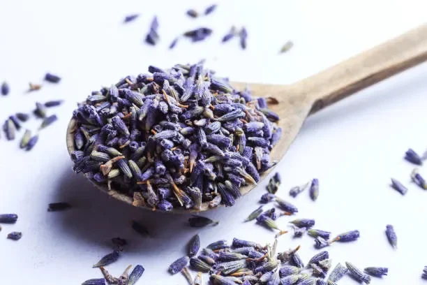 Lavender Flowers (Lavandula angustifolia)