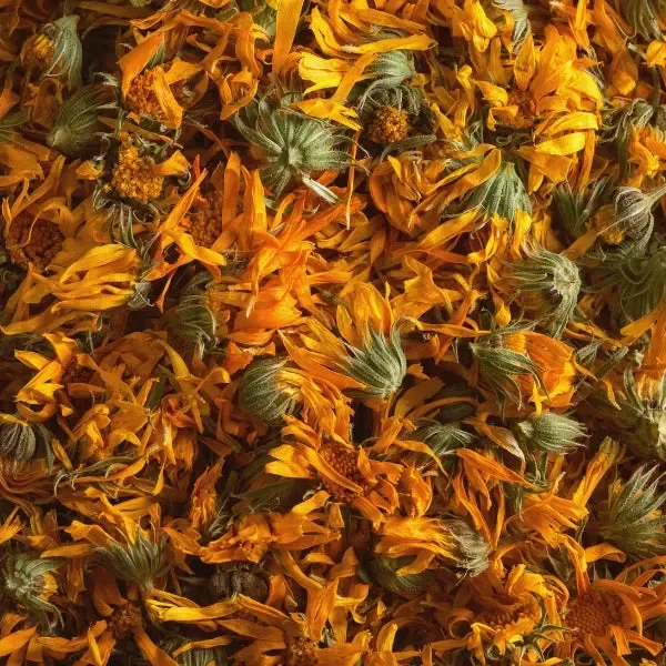 Calendula Petals (Calendula officinalis)