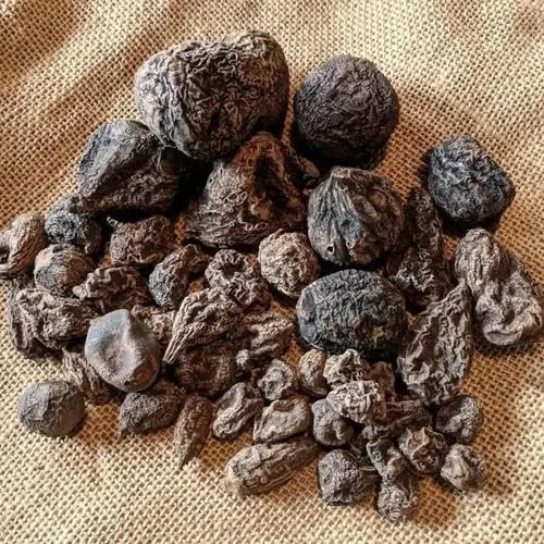 High John the Conqueror Root (Ipomoea jalapa / Jalap Root)
