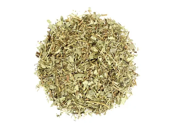 Rue (Ruta graveolens)