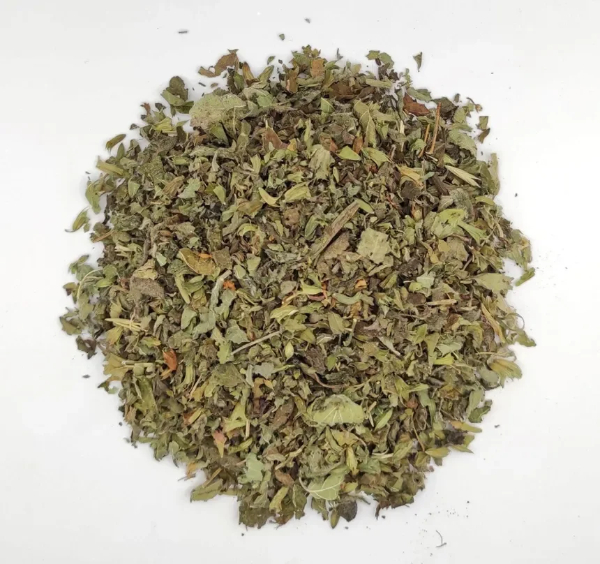 Lemon Balm (Melissa officinalis)
