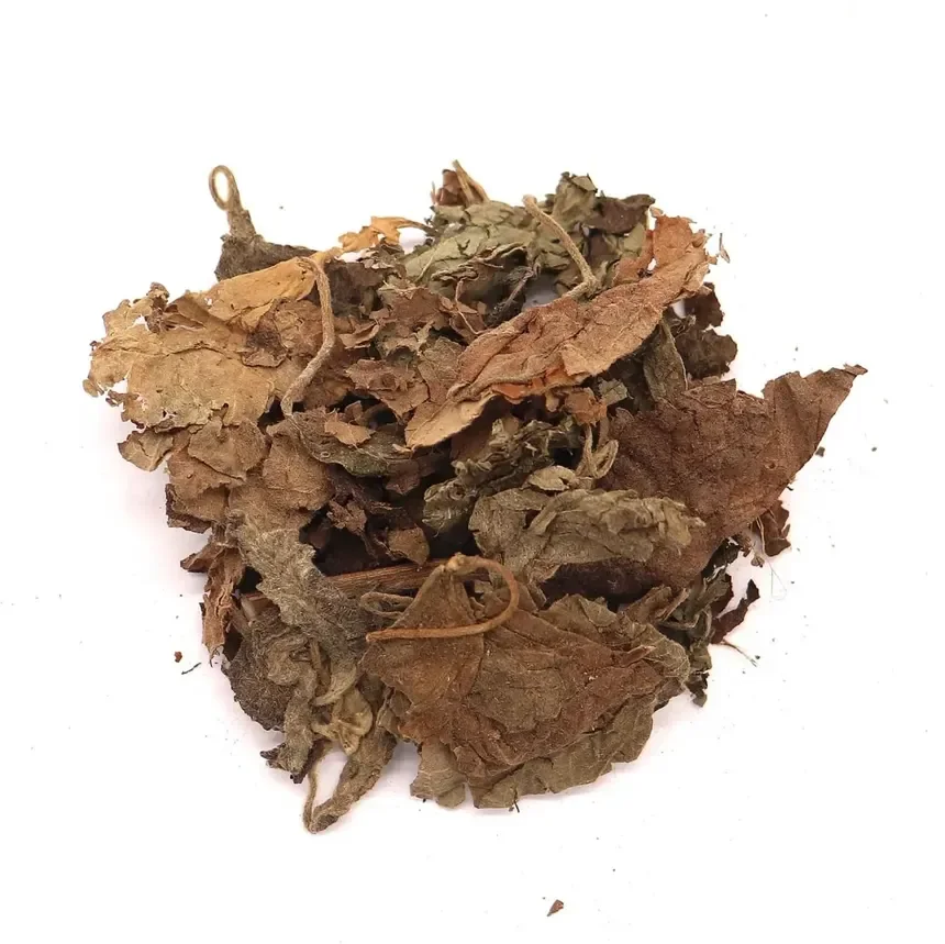 Patchouli (Pogostemon cablin)