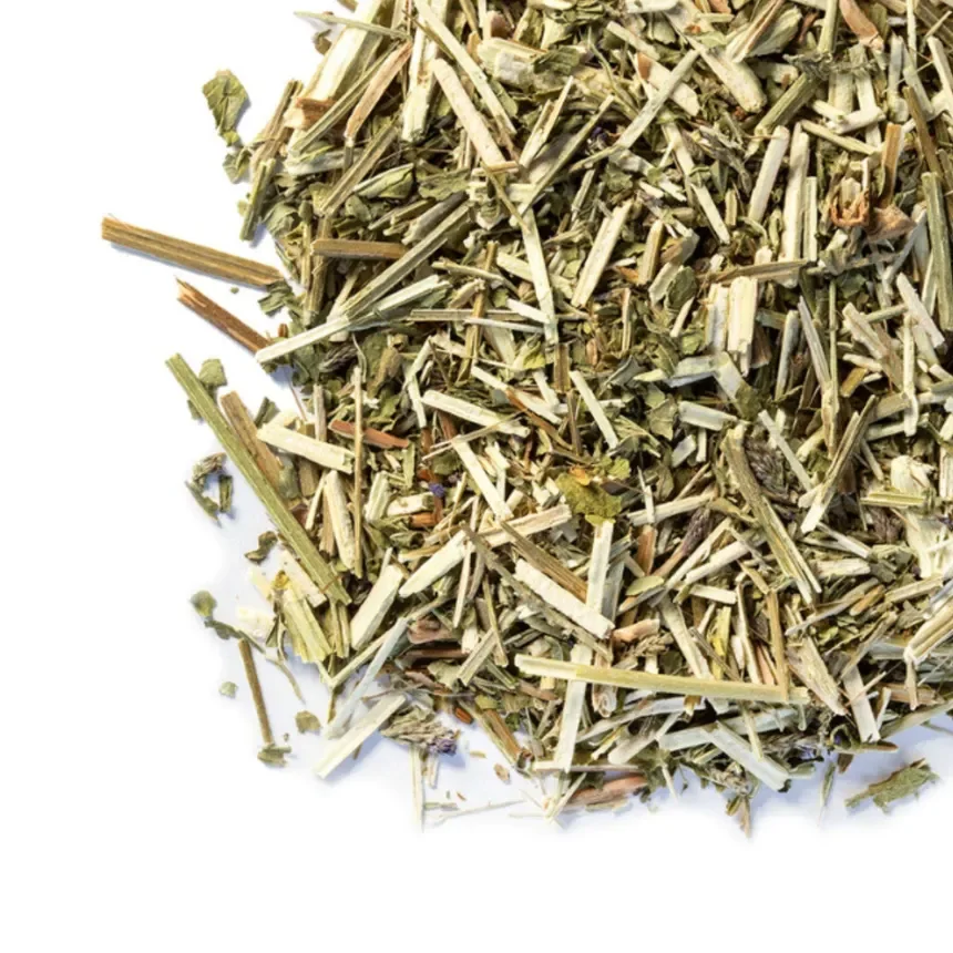 Vervain (Verbena officinalis)