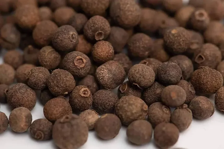 Allspice, Whole (Pimenta dioica)