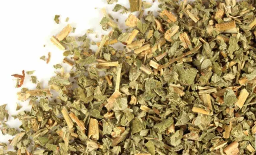 Agrimony (Agrimonia eupatoria) - OUT OF STOCK