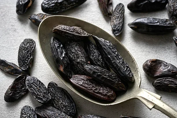 Tonka Beans (Dipteryx odorata)