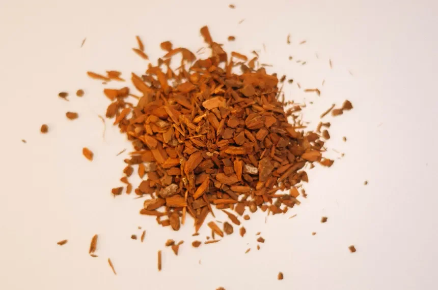 Cinchona Bark (Cinchona officinalis)