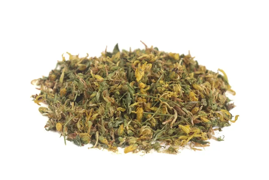 St. John’s Wort (Hypericum perforatum)