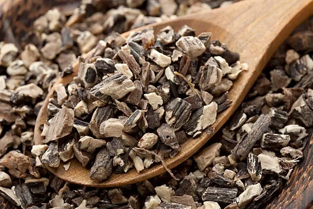 Comfrey Root (Symphytum officinale)