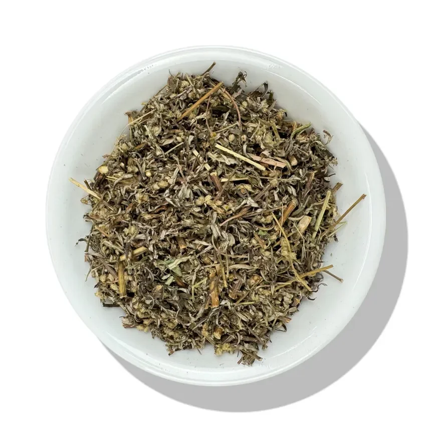 Estafiate / Mexican Mugwort (Artemisia ludoviciana / Artemisia mexicana) - OUT OF STOCK