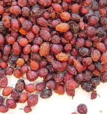 Rose Hips, Whole (Rosa canina / Rosa spp.)