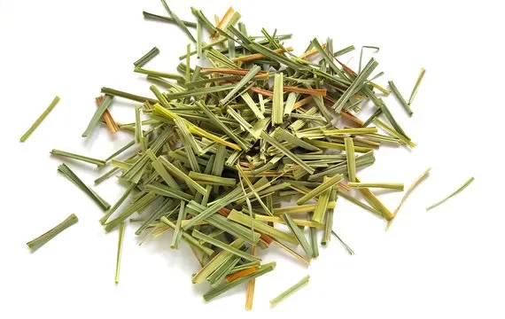 Lemongrass (Cymbopogon citratus)