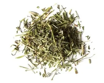 Hyssop (Hyssopus officinalis)