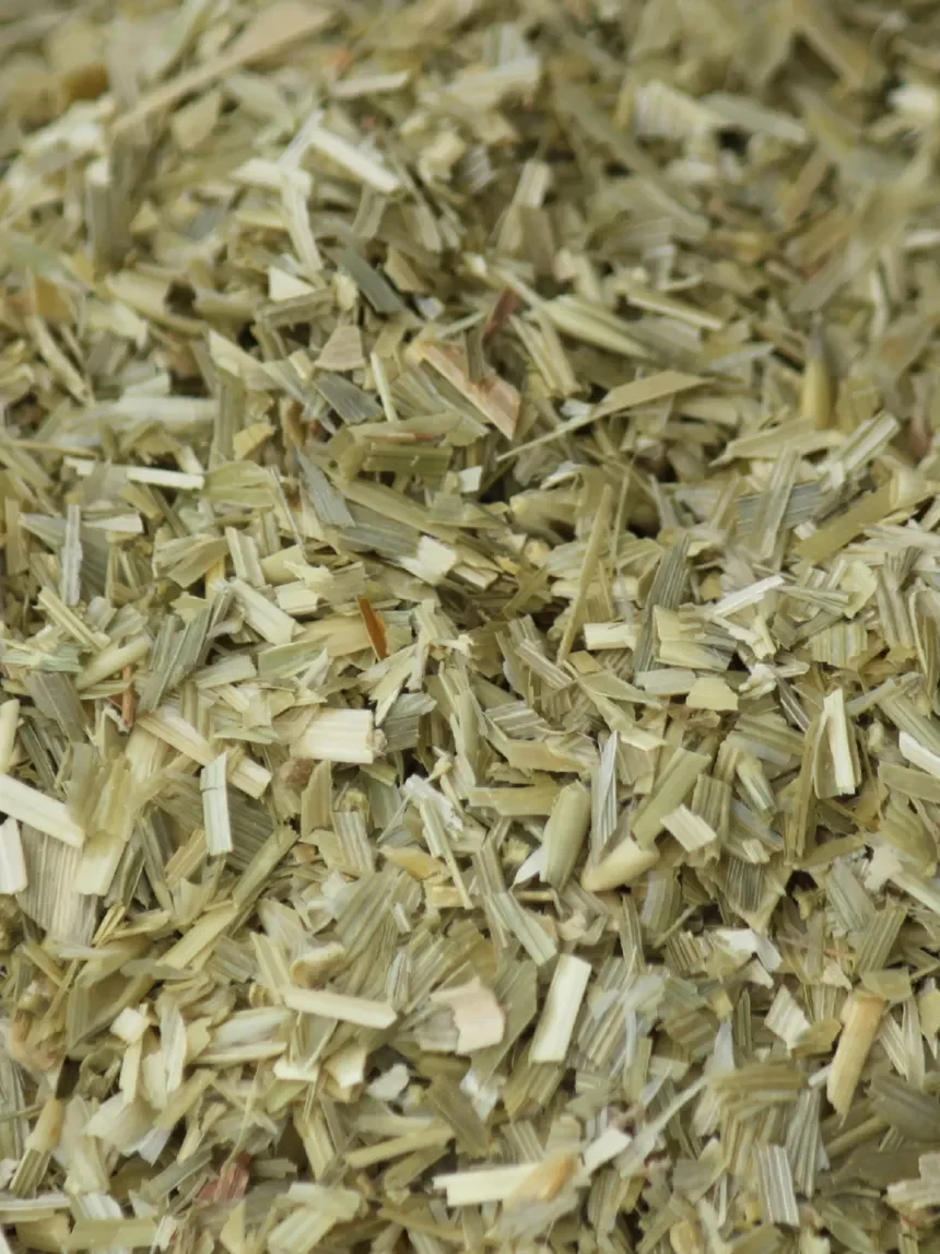 Oatstraw (Avena sativa)