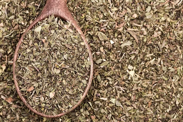 Peppermint Leaf (Mentha × piperita)