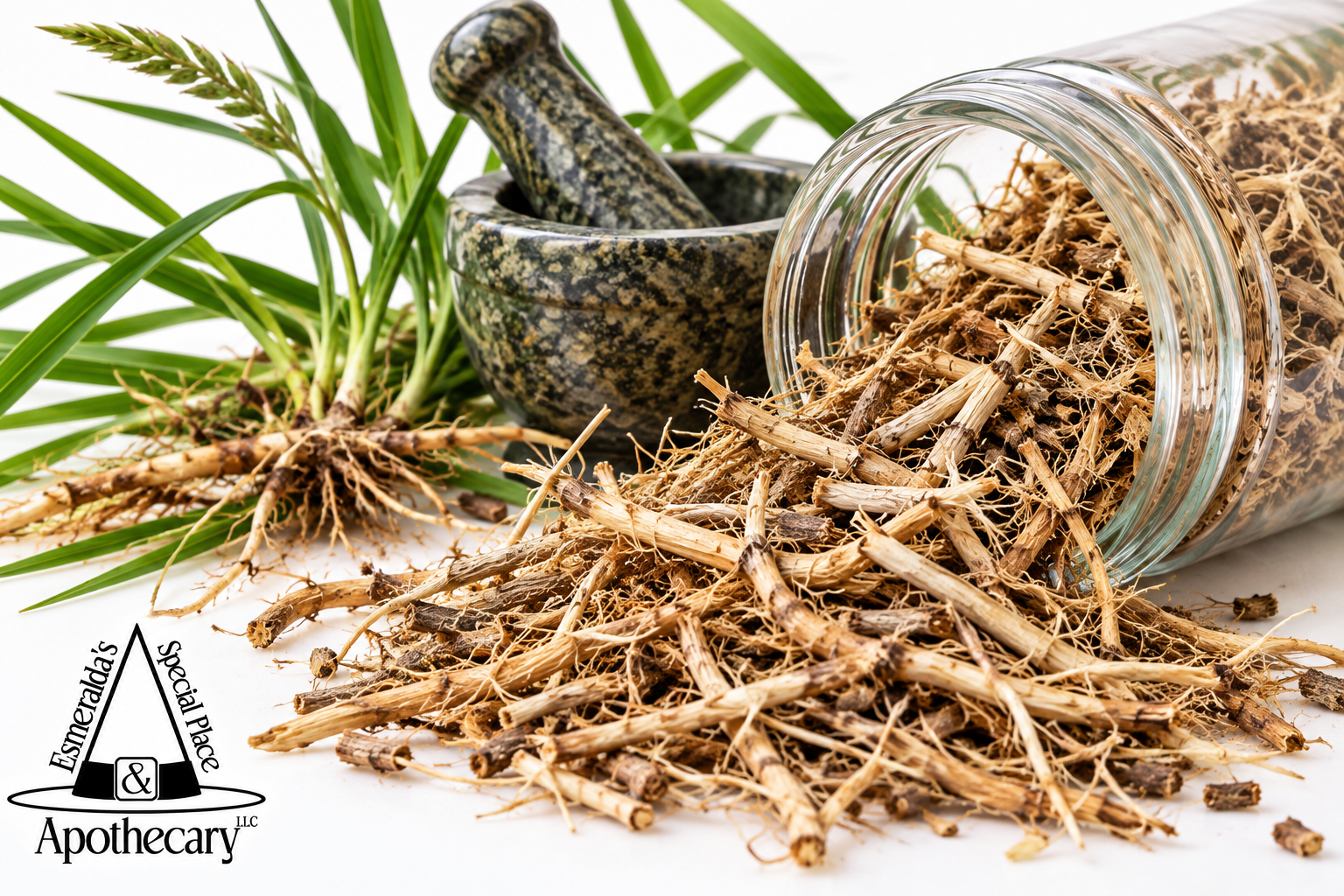 Herbal Apothecary Roots and Ritual Tools.png