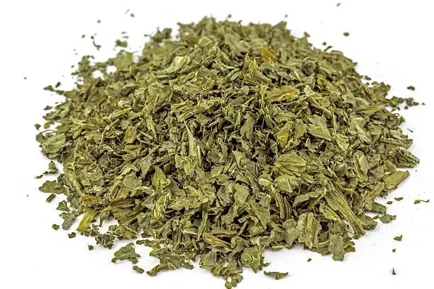 Milk Thistle (Silybum marianum)