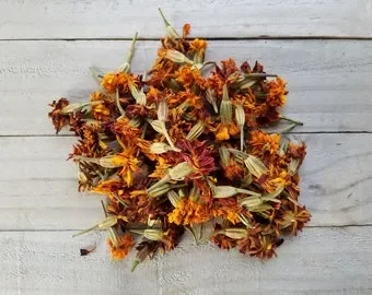 Mexican Marigold (Tagetes erecta) - OUT OF STOCK