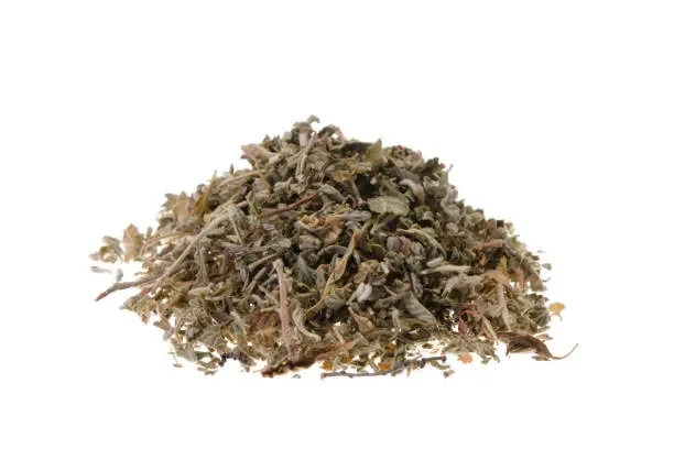 Damiana (Turnera diffusa) - OUT OF STOCK