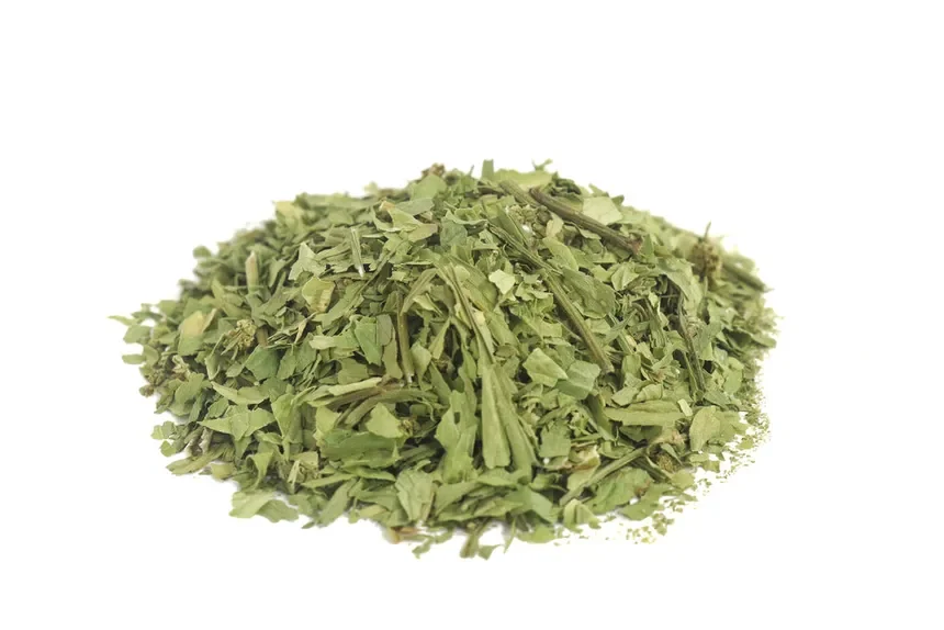 Lovage (Levisticum officinale)