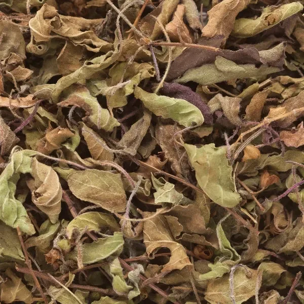 Holy Basil Krishna (Ocimum tenuiflorum / Ocimum sanctum)