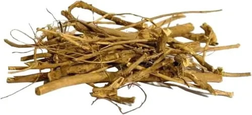 Devil’s Shoestrings (Viburnum alnifolium / Viburnum spp.) - OUT OF STOCK