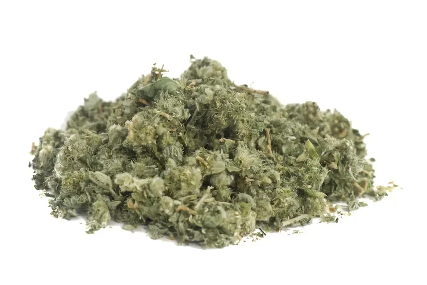 Horehound (Marrubium vulgare)