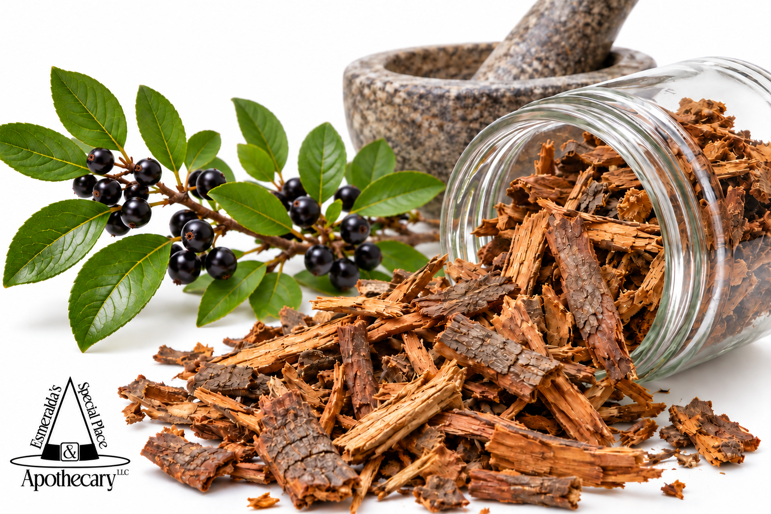 Buckthorn Bark.png