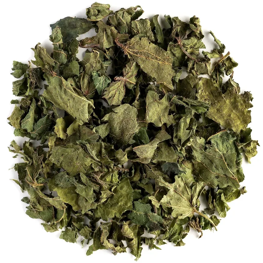 Nettle Leaf (Urtica dioica)
