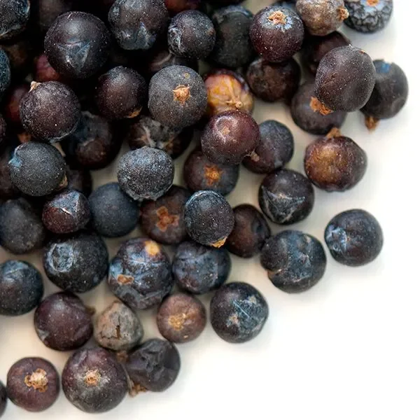 Juniper Berries (Juniperus communis)
