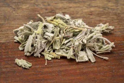 Sage Leaf (Salvia officinalis)