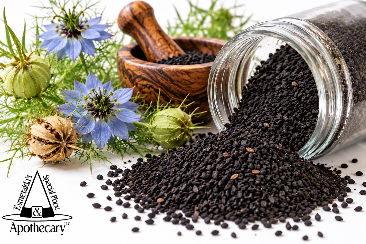 Nigella Apothecary Still Life.png