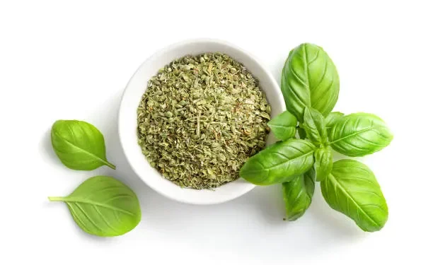 Basil (Ocimum basilicum)