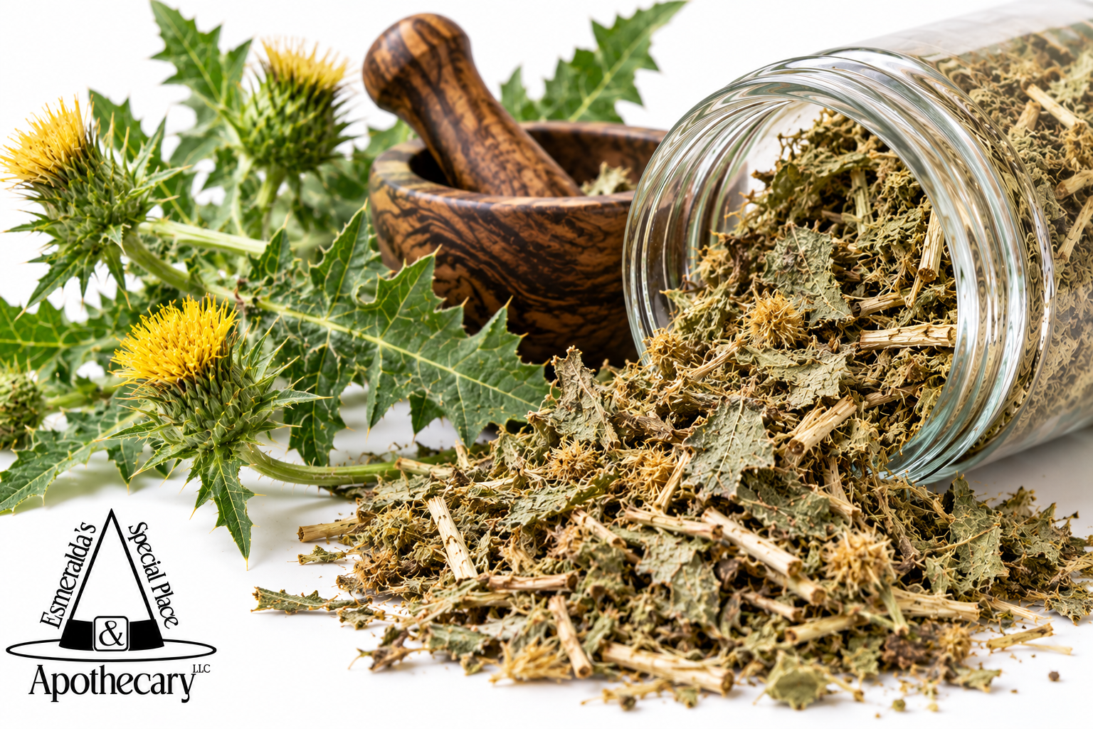 Blessed Thistle Apothecary Still Life.png