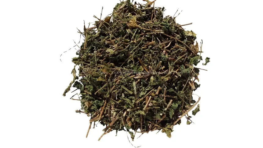 Guinea Hen Weed (Petiveria alliacea) - OUT OF STOCK