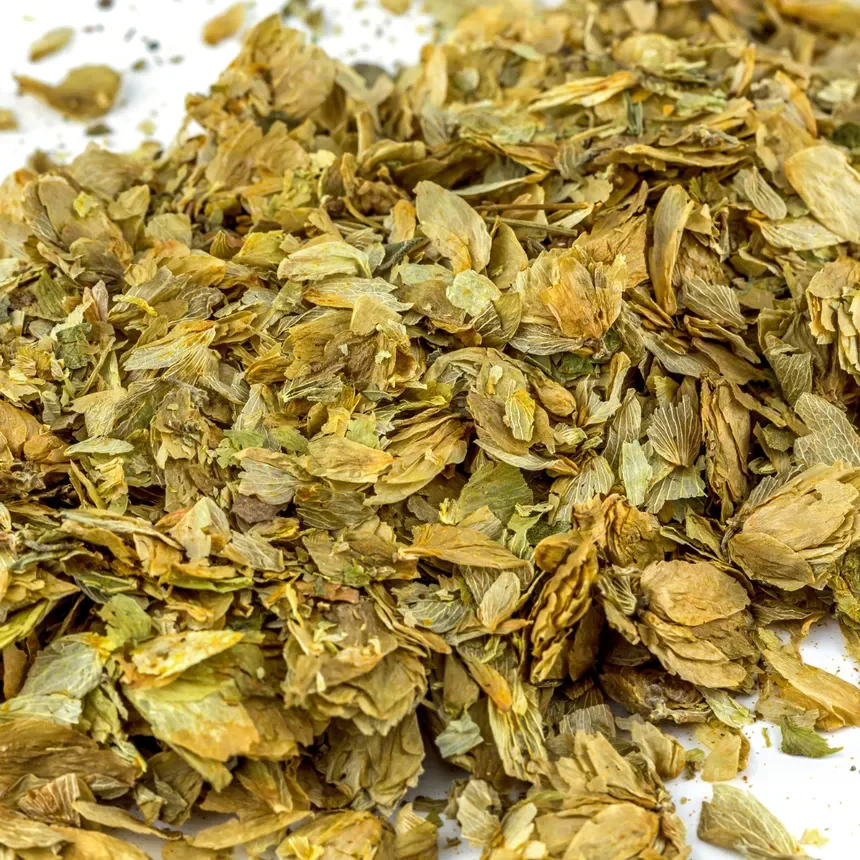 Hop Flowers (Humulus lupulus)