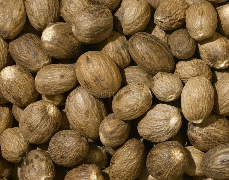 Nutmeg, Whole (Myristica fragrans)