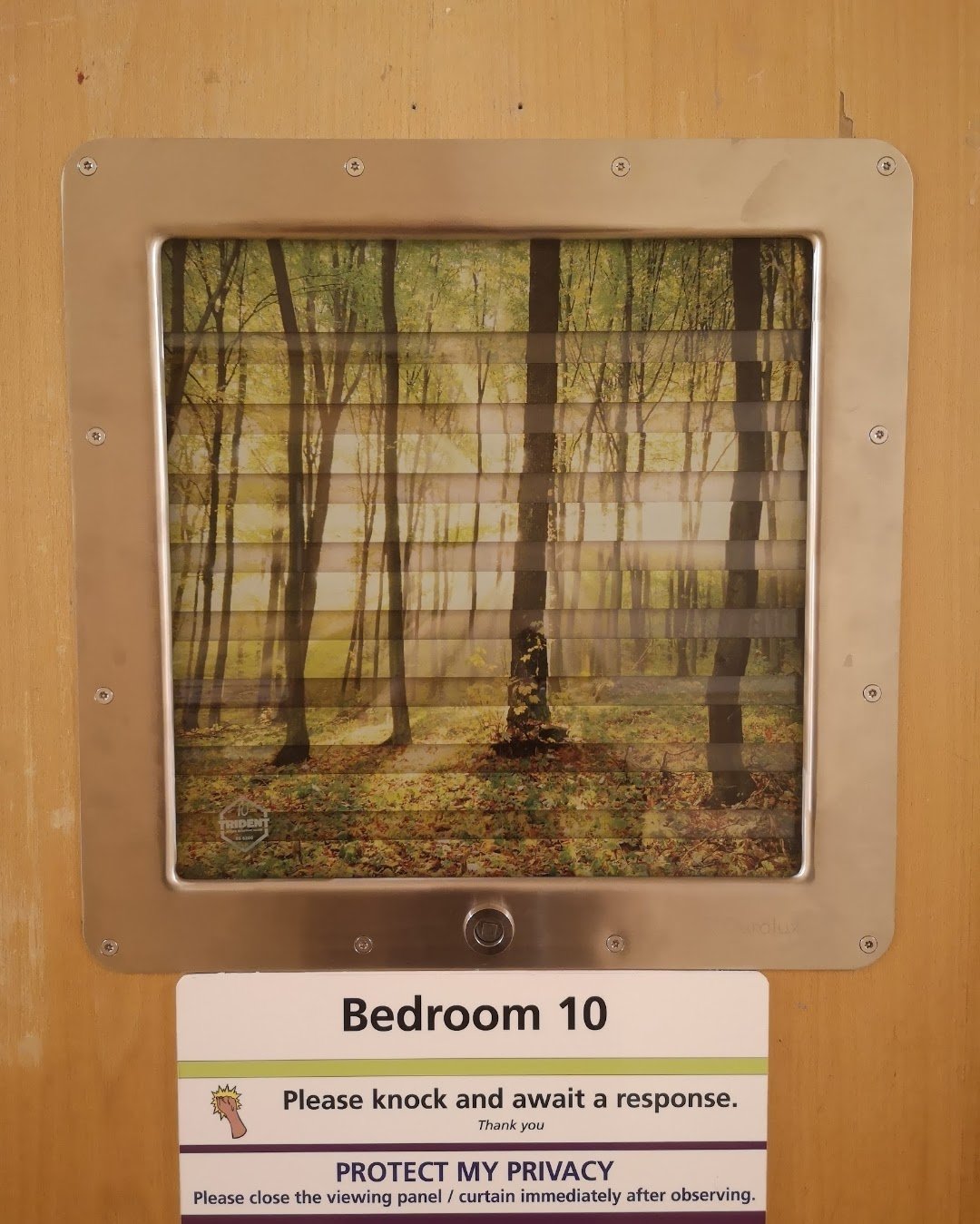 An observation window on a psychiatric hospital bedroom door labelled Bedroom 10, featuring a woodland privacy curtain behind secure glass.