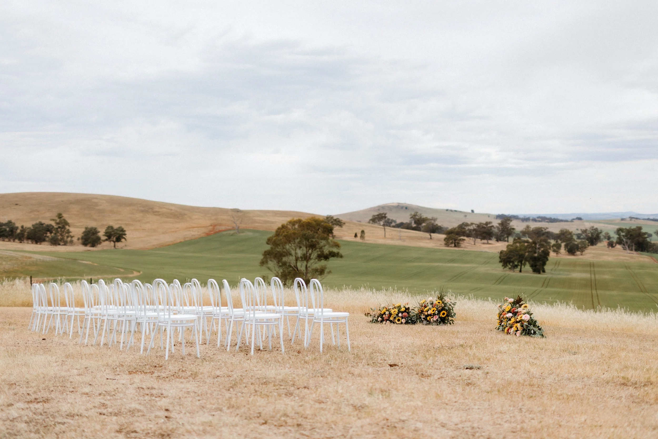 BuzzaWedding-251.jpg