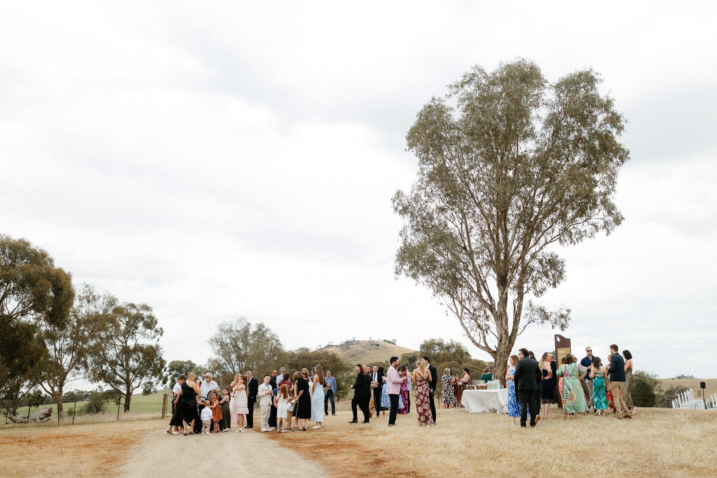 BuzzaWedding-264.jpg