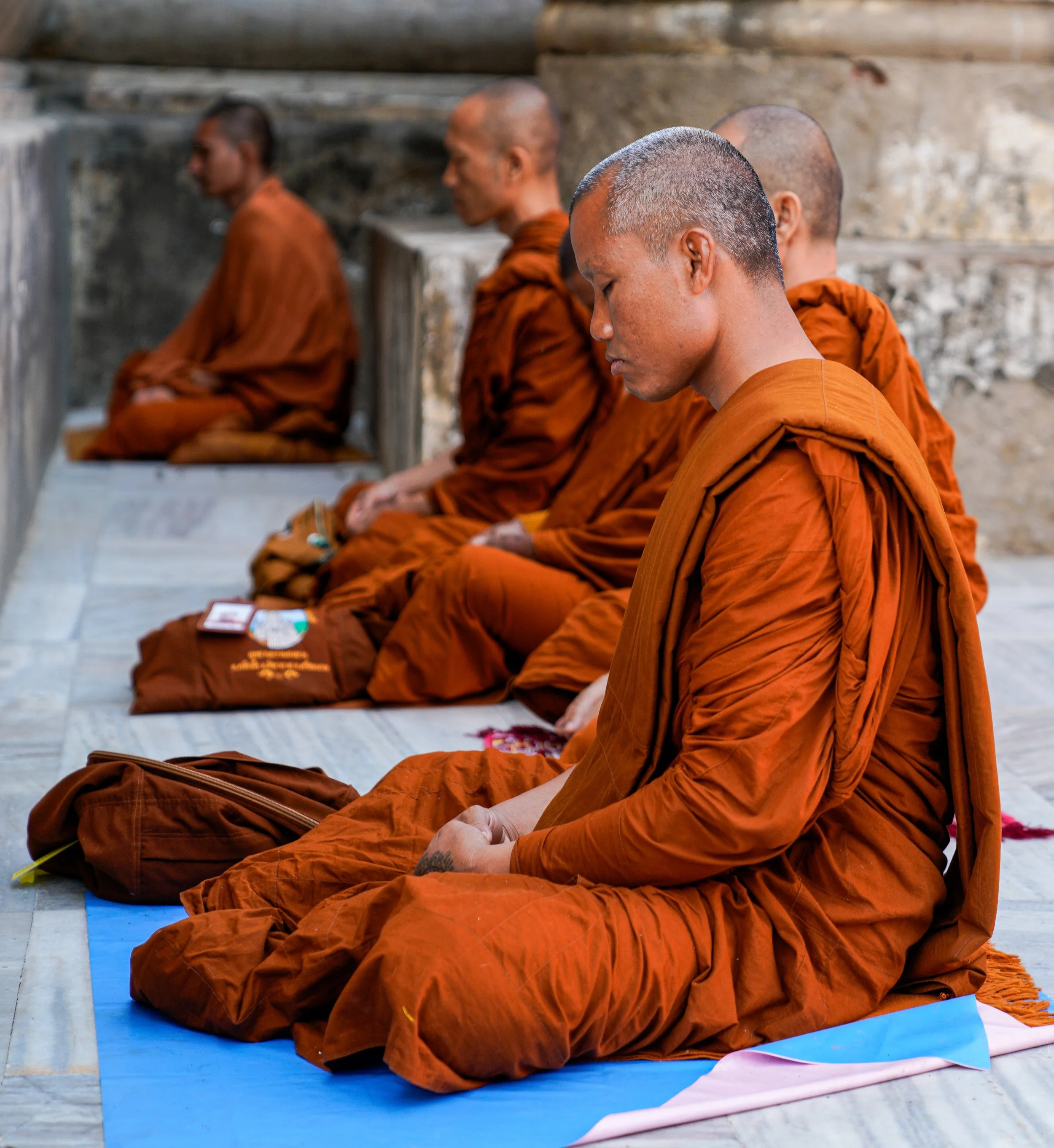 A group of Thai Buddhist monks dressed in traditional saffron robes meditating while seated cross-legged in Bodh Gaya India