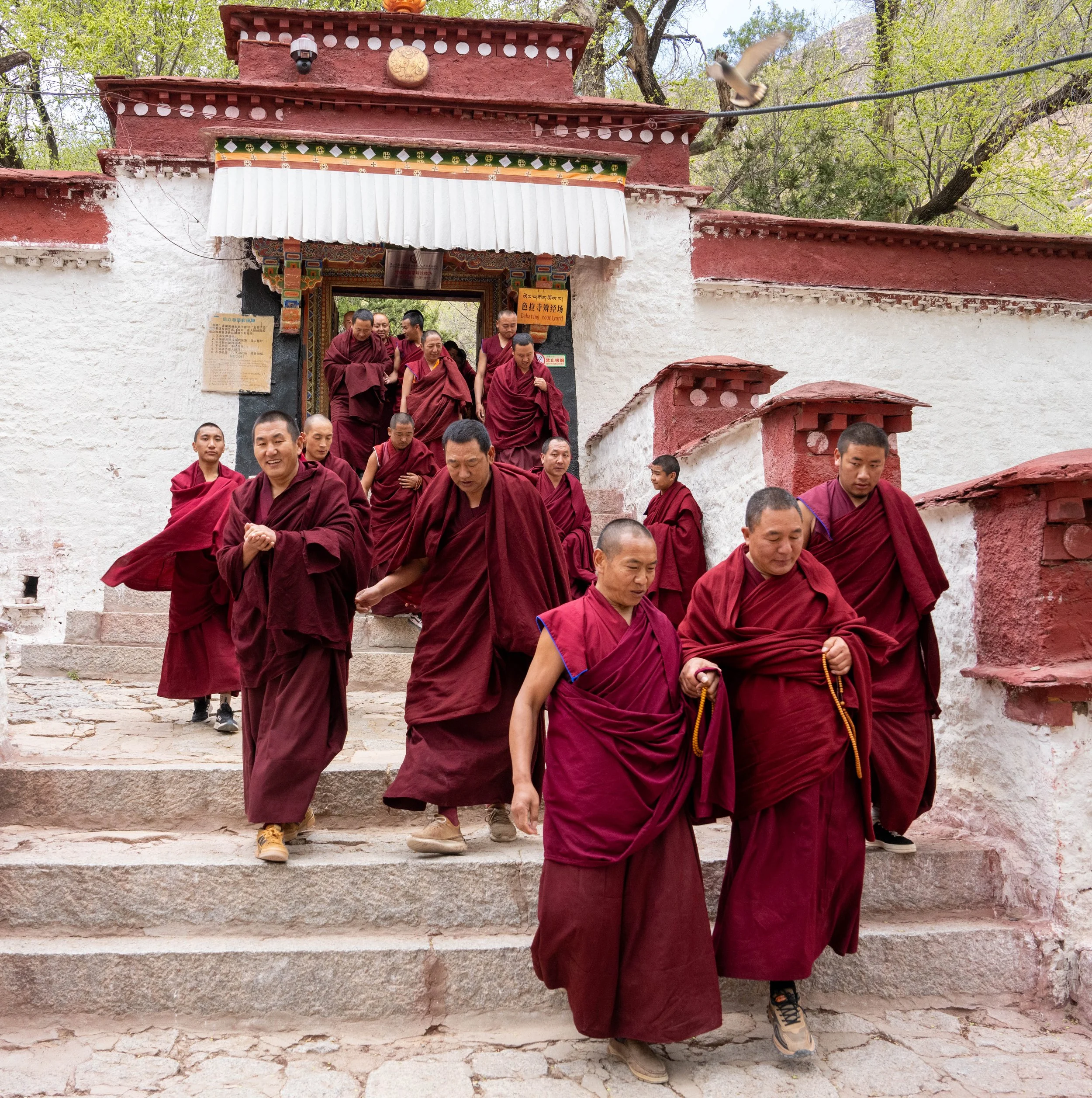 Monks leaving a debate session in Lhasa
