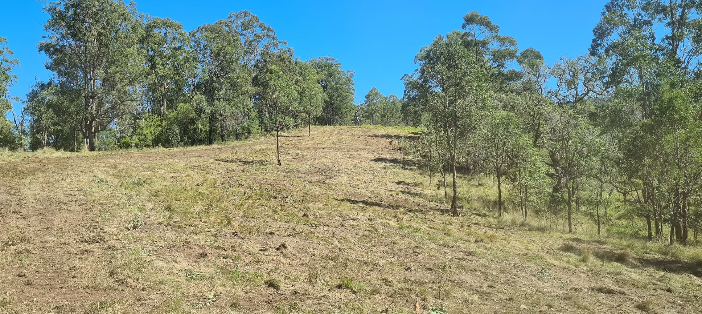 Opening up land for a client in the Gloucester Area, NSW