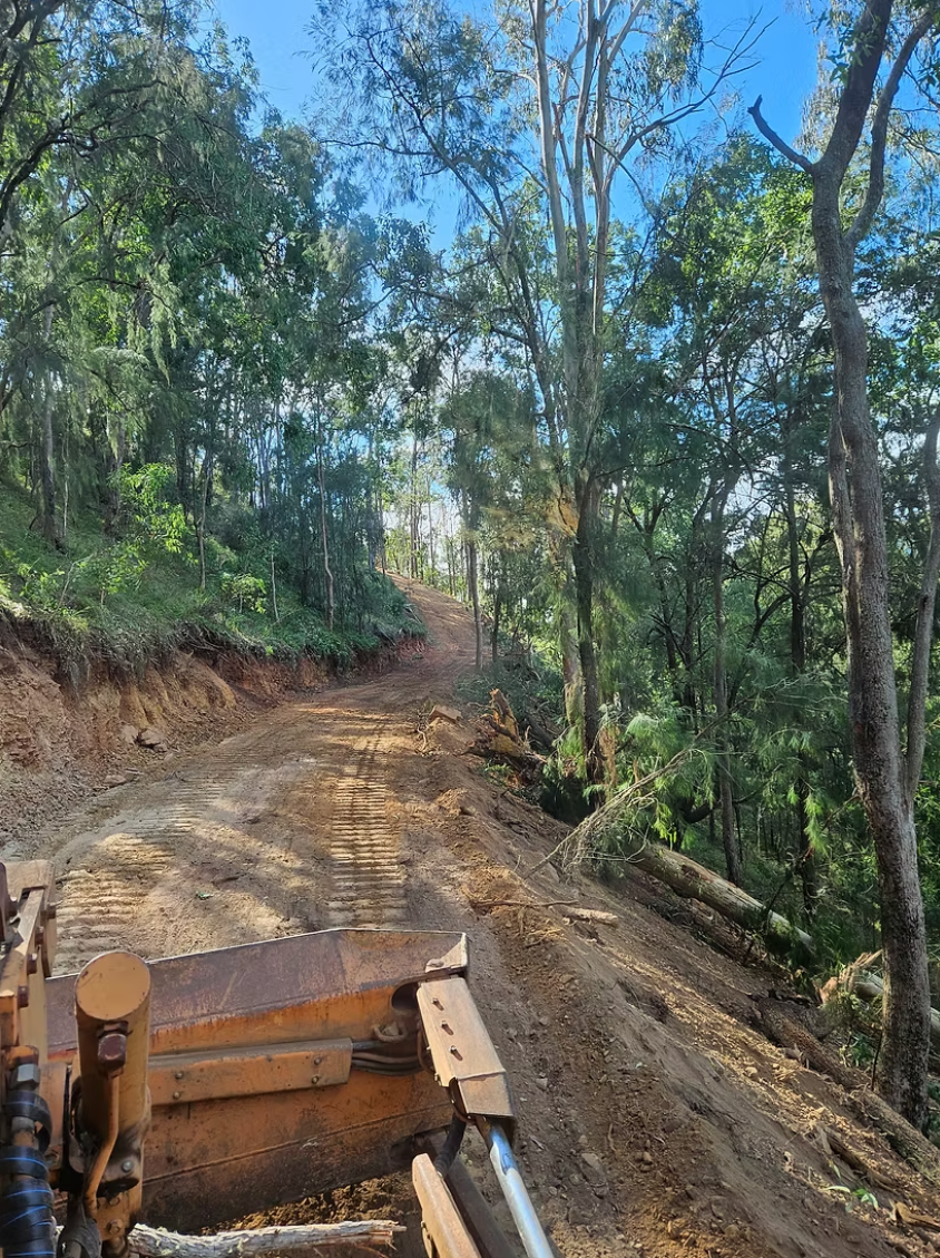 A dirt road through a forested area with trees on both sides, some fallen logs, and a bulldozer's blade at the bottom left, indicating construction or clearing activity.