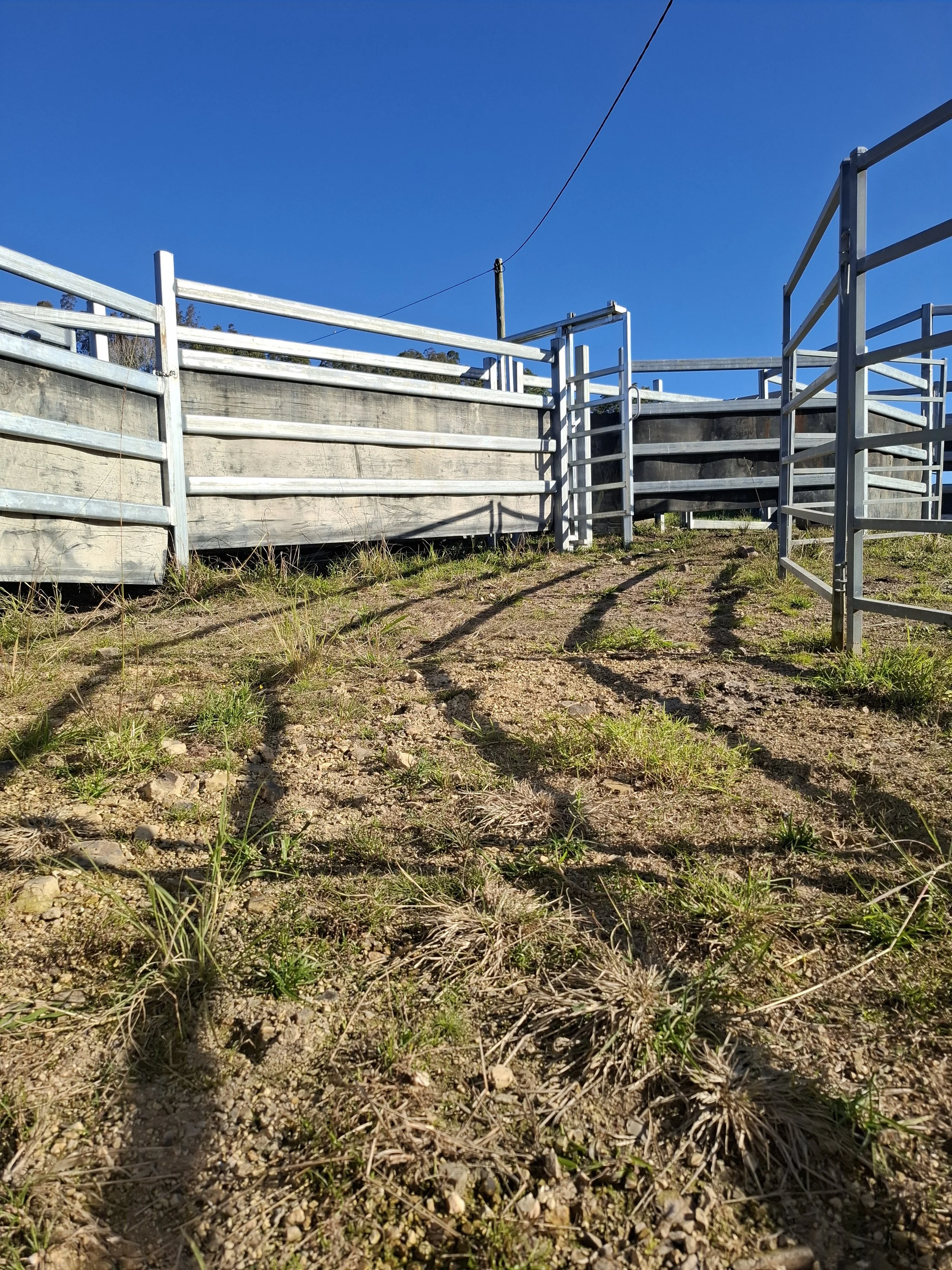 We design and build practical cattle yards and arenas to suit your needs